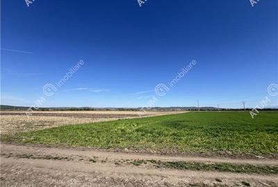 Teren intravilan de 8150 mp situat in Sibiu zona Calea Surii Mici - 5