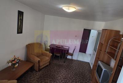 Apartament cu 2 camere de vanzare in Azuga - 2