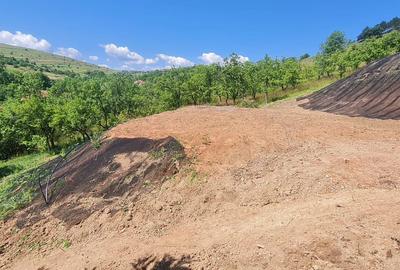 Teren intravilan, 729mp, Suceagu, Cluj - 4