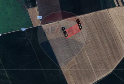 Teren extravilan 46,300mp Curtici - 3