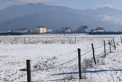 TEREN 1049 mp - INTRAVILAN DE CONSTRUCTII - 2