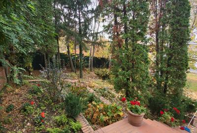 Vila lac snagov in cea mai buna portiune a lacului, ponton, garaj barca, piscina - 2