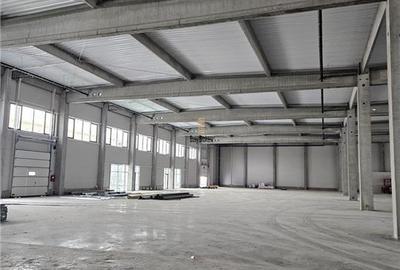Spatii Industriale - 1296 mp - Productie - Depozitare - Distributie - E-Commerce - 7