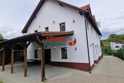 Hotel/Pensiune, de 390 mp, în Cetate