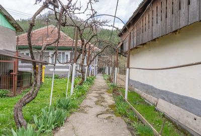 Acasă nu e un apartament. E pe Pietrosu nr. 8, în Zemeș. - 3