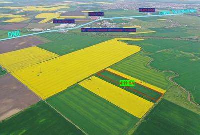 Teren agricol extravilan de 40000 mp, în Torontalului
