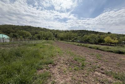 Teren Intravilan 3.514 mp | SAT CIUGUD | Oportunitate | TOATE UTILITATILE | - 1