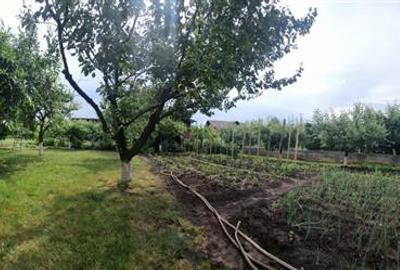 Vila de vanzare 260 mp cu anexe 40 mp si teren 1600 mp - 14