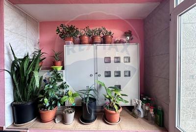 Apartament 3 camere in Vila, Curte, Mobilat si Utilat, Metrou Pacii - 20