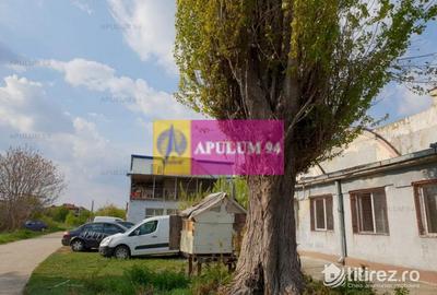 Hală 3600mp zona de Sud a capitalei - 12