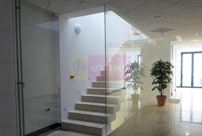 Imobil de Lux Zona Dacia Eminescu 450 MP Pretabil Birouri | Business - 1
