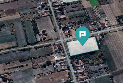 Teren intravilan 6115mp pentru investiții Firiteaz - 1