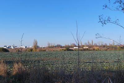 TEREN INTRAVILAN, 1800 mp foarte aproape de Hornbach - 5