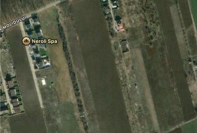 Teren de vanzare langa padure| Tamasi, Corbeanca | 1170mp - 1