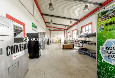 Hale depozitare/producție 2.000 mp si 10.000 mp teren în Pecica - 9