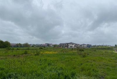 Teren intravilan | 3993 mp | Ciorogarla, Ilfov | Utilitati - 11