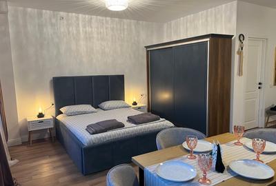 Vand apartament 1 camera, Park Residence, mobilat si utilat - 8