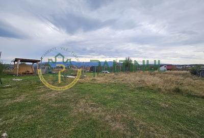 Parcele de vânzare pe Calea Cisnadiei, Sibiu - priveliste spre munti - 8