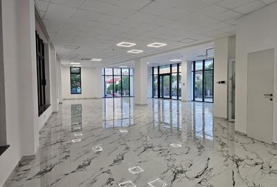 SPAȚII PREMIUM DE ÎNCHIRIAT – STR. BREȘTEI NR. 25, CRAIOVA – ZONA CENTRALĂ - 13