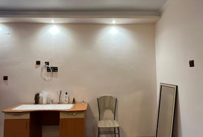 Casă 5 camere, 7700 mp teren ,Comuna Ineu. - 8