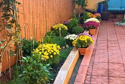 Casă individuală cu 2 camere în Bd. Coșbuc