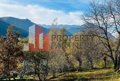 Teren Bran / Predelut cu priveliste 1840mp - 18