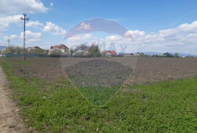 Teren 5460mp Brasov-Stupini / Strada Plaiului - 3