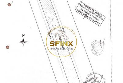 Corbeanca 2000 mp | deschidere 22 m la drum asfaltat | padure | utilitati - 7