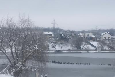Vilă amplasată pe malul lacului - 20