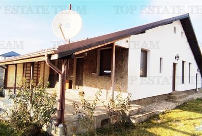 VANZARE PROPIETATE 2 CASE OTOPENI - 16