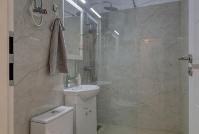LUX, mobilat si utilat MODERN,langa CN Iulia Hasedeu, BOILER, REABILITAT TERMIC - 27