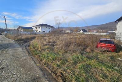 Teren 1.250 mp, toate utilitatile – Bascov, Valea Ursului, AG - 5