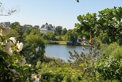 Casă individuală cu 6 camere în Snagov