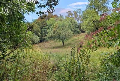 Teren de vânzare 990mp în Barzava, județul Arad - 1