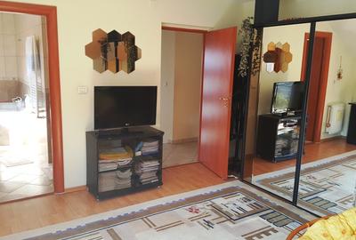 Vanzare vila remarcabila Drumul Negru - Pipera - 14