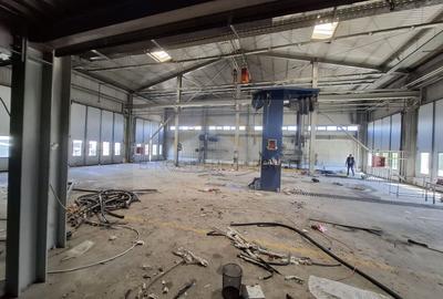Distribuție /productie 3800 mp -constructie /14.000 mp curte. - 6