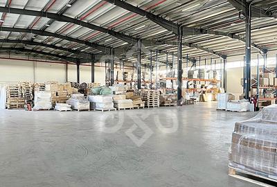 Hala noua de vanzare in Parcul Industrial I, zona Borsului - 2