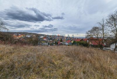 FARA COMISION! Teren constructii 3400mp, front 31 m, panorama, Dambul Rotund - 7