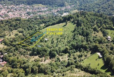 Teren in Scheii Brasovului inconjurat de natura - 3
