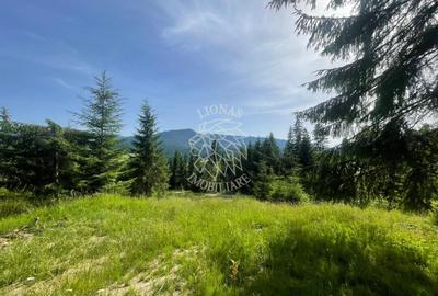 Teren intravilan 1074 mp cu utilitati-ideal pensiune, cabane-Colibita - 2