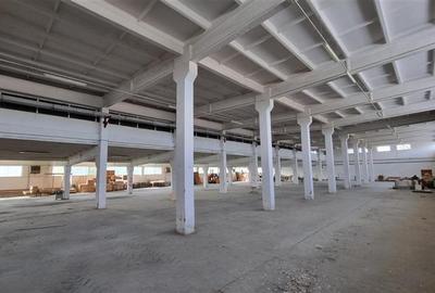 Hala industriala de vanzare in Harlau, 11.500 mp utili, teren 44.268 mp - 1