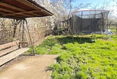 LAPUSEL, teren intravilan cu proiect casa  si teren de aprox,10ari! - 3