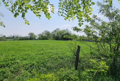 Teren intravilan ideal investitie in Catamarasti Deal - 2