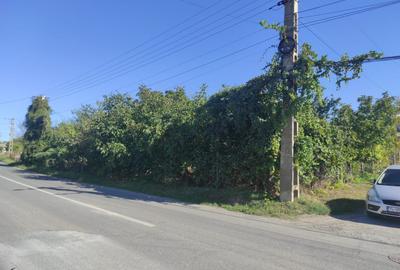 Vânzare Teren Intravilan 2.001 mp. cu utilități ~ Isaccea ~ Centru - 5