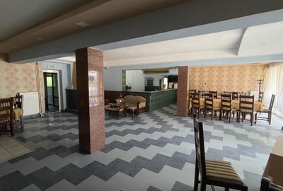 HOTEL DE INCHIRIAT CU 14 CAMERE SI PARCARE BORS E60 - 5