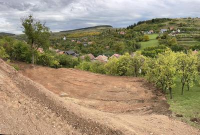 Teren intravilan, 729mp, Suceagu, Cluj - 5