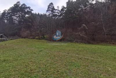 Teren Straja – Pangarati 3560 m, zona de Pensiune - 4