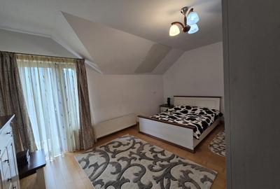 Proprietate superba Tasca, judetul Neamt - 10
