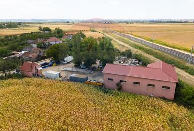 Spațiu industrial cu potential de vanzare in Paulis,Arad - 22