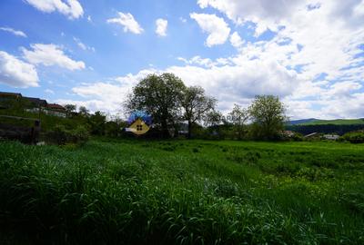 Teren 9000 mp intravilan Piatra Neamt , ideal investitie - 9
